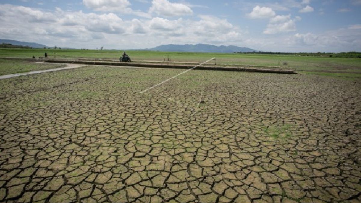 BMKG: بدأ موسم الجفاف في سابانغ ، باندا آتشيه ، آتشيه بيسار