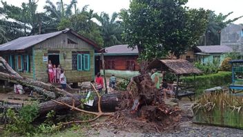 Strong Wind Strikes North Sumatra, 48 Houses Damaged