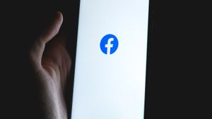 Facebook Jadi Sarang Pelecehan dan Kekerasan bagi Aktivis Lahan Global