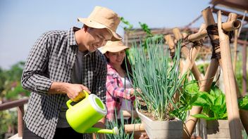 Urban Farming Can Be a Solution for Self-Sufficient Food in the Midst of Climate Change