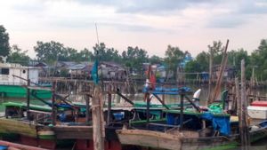 Nelayan di Jambi Enggan Melaut karena Cuaca Ekstrem, Stok Ikan di Pasar Menipis, Harga Ikut Melambung