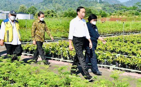 Presiden Dorong Upaya Rehabilitasi Hutan Mangrove sebagai Komitmen Hadapi Perubahan Iklim