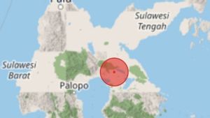 Gempa Magnitudo 4,2 Guncang Barat Daya Lalolae Sulawesi Tenggara