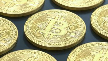 Rekor Baru Harga Bitcoin Rp1,2 Miliar, Dampak Pemilu AS dan Ketertarikan Institusional