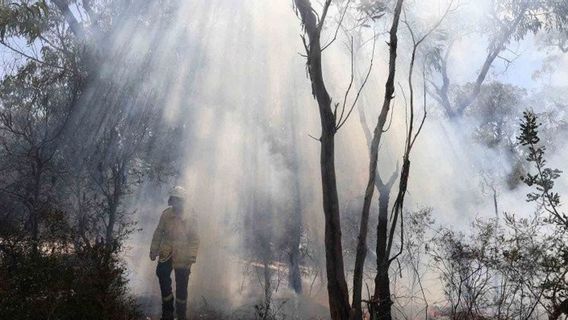 Hotspots In West Sumatra Increase, Provincial Government Asks Forest Fire Alert Officers