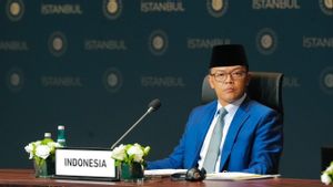 Menlu Sugiono Tegaskan Dukungan Indonesia Terhadap Langkah Perdamaian di Gaza, Tapi Harus di Bawah Mandat PBB