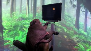 Catatan Mengerikan Monyet yang Disuntik Mati dalam Uji Coba Implan Otak Neuralink