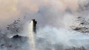 Gubernur: Riau Musim Kering Sampai September 2023 Mari Olah Lahan Tak Pakai Cara Dibakar