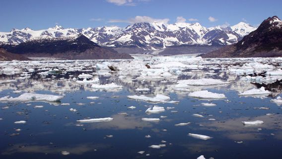 La glace de l'Arctique recule à son plus bas niveau, des records de chaleur brisés dans de nombreux pays