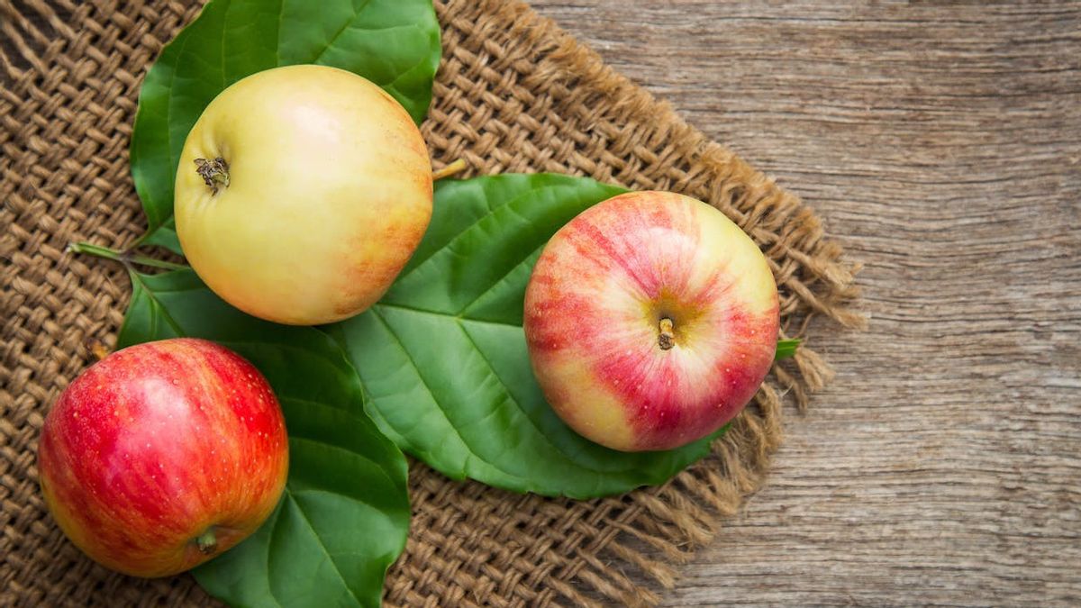 Comment stocker les pommes pour garder leur procrastination