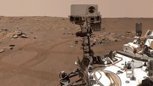 Perseverance Temukan Batuan di Mars, Diduga Meteorit Besi-Nikel dari Luar Planet