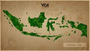 Sejarah Tradisi 420 di Indonesia dan Budaya Ganja Nusantara dari Aceh, Ambon, hingga Jawa