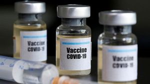 Dukung Vaksin Nusantara dengan Catatan, Kapuspen: Bukan Program TNI