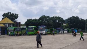 Puncak Arus Mudik di Terminal Rajabasa Sudah Terlewati 