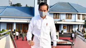 Tak Ajak Mentan Garap Lumbung Pangan di Kalteng, Jokowi Tunjukkan Sinyal Kecewa