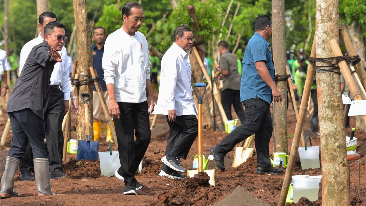 Jokowi Pastikan Distribusi Pupuk Subsidi Diawasi Penuh Biar Tak Pindah Tangan ke Bukan Petani