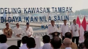    Jokowi Minta Prabowo Lanjutkan Program Kawasan Budidaya Ikan Nila di Pulau Jawa