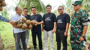 World Coconut Day, Moeldoko Tanam Varietas Kelapa Baru, Ini Keunggulannya