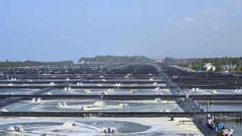 プラボウォは、地政学的な紛争の真っ只中に食料自給自足を確保