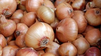 Prices Soaring, The Trade Minister Will Gradually Import Onions