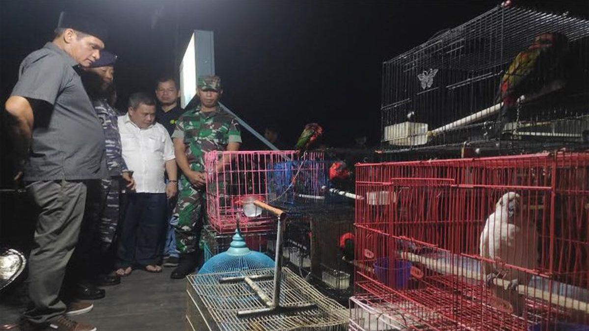 The Indonesian Navy HAS Failed Efforts To Smuggle Protected Animals In Kumai Bay, Central Kalimantan