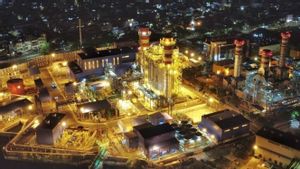 PLN Nusantara Power Sukses 减少 17 万吨二氧化碳排放