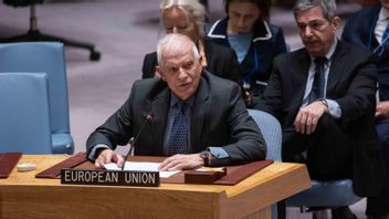 Diplomat UE: Serangan ke Rafah hanya akan Menambah Jumlah Warga Sipil yang Tewas, Apa pun Kata Israel