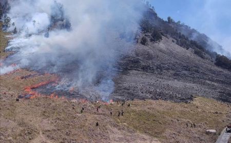 Kebakaran Hutan Seringkali Disebabkan Perilaku Konyol dan Kebodohan Manusia