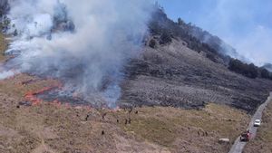 Kebakaran Gunung Bromo Akibat <i>Prewedding</i> Pakai Flare Capai 504 Hektare