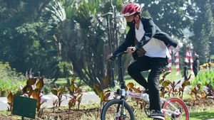 IKN Tak Cocok Buat yang Suka Naik Mobil, Jokowi: Pejalan Kaki dan Sepeda, Silakan ke Ibu Kota Baru