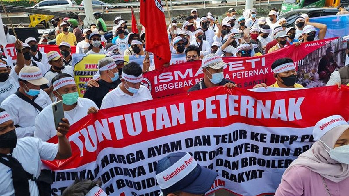 Demo Peternak Ayam Petelur, Wagub DKI: Pemerintah Berupaya yang Terbaik 