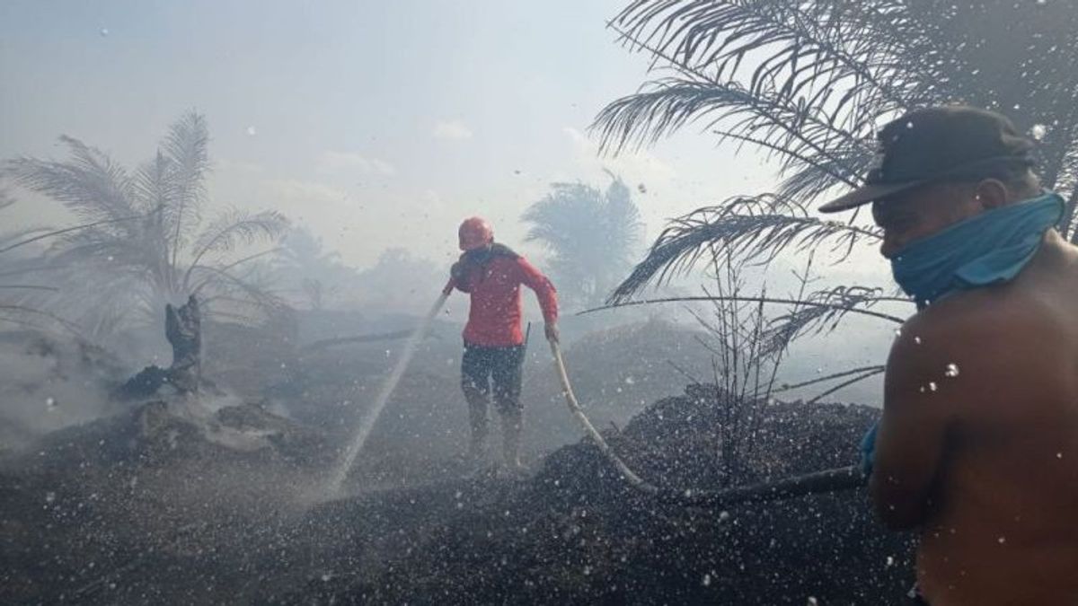 Karhutla Melanda Riau, Petugas Masih Berjibaku Padamkan Api Luas Lahan Terbakar Belum Diketahui 