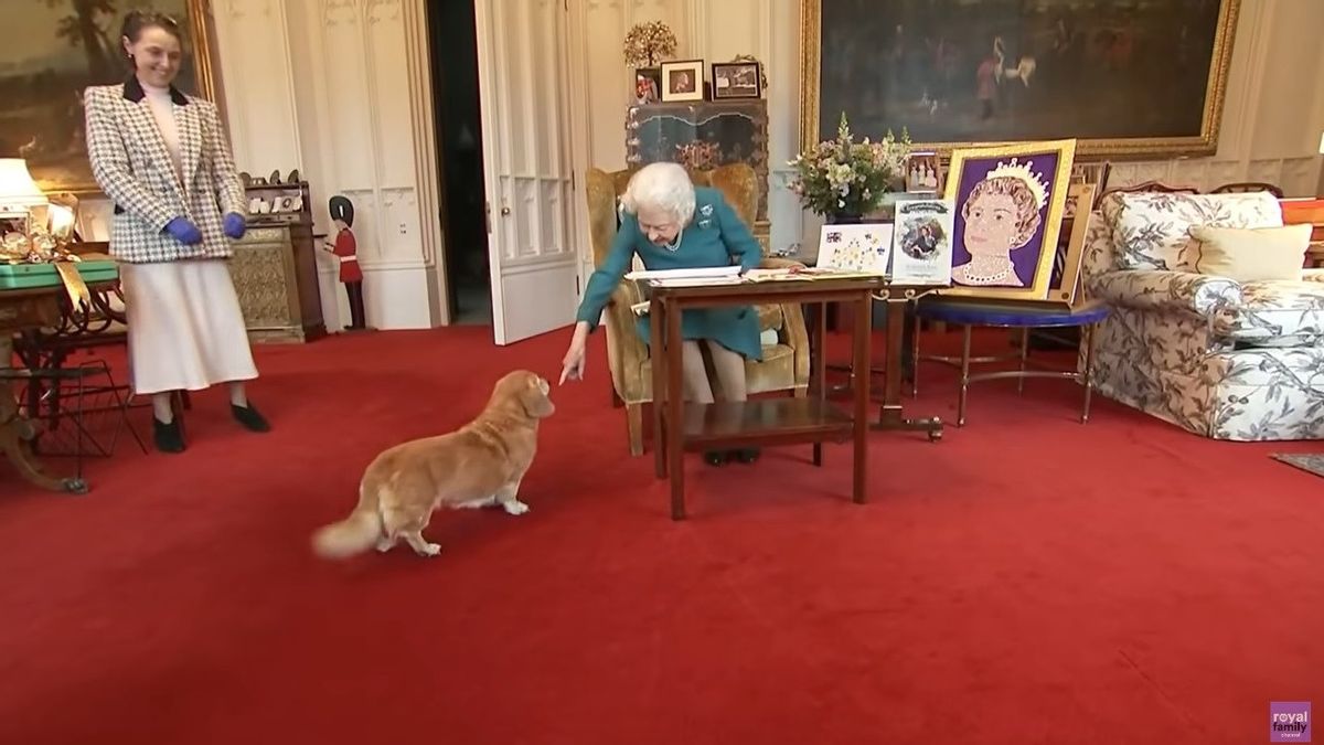 Queen Elizabeth II Wafat, Cargi's Loveful Dog Will Take Care Of Who?