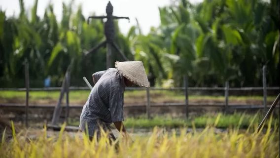 Proposer la réhabilitation de l'irrigation de Bengkulu au ministère de l'Agriculture, des villes et des villages: le réseau tertiaire en est le centre