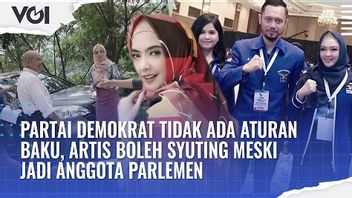 VIDEO: Partai Demokrat Tidak Ada Aturan Baku, Artis Boleh Syuting Meski Jadi Anggota Parlemen