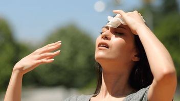 rénage : Les températures chaudes atteignent 34 degrés Celsius, c'est un appel au BMKG
