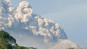 今日から、PVMBGはエンデのイエロー山のステータスをレベルIIIに引き上げます