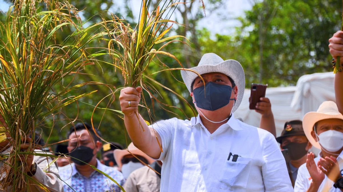 In Simalungun, Coordinating Minister Airlangga Emphasized The Government's Commitment To Strengthening The Agriculture Sector