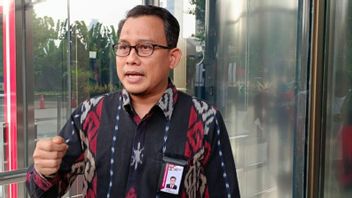 KPK Seizes Project Documents Related To The Bribery Case In Mamberamo Central Papua