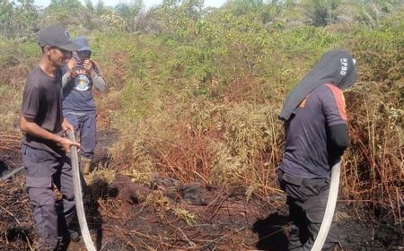 Kebakaran 1,3 Hektare Lahan Kebun di Aceh Barat Berhasil Dipadamkan