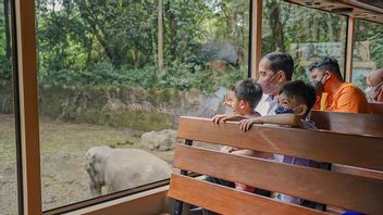 PHOTO NEWS: The Moment Sis Sedah And Babang Nahyan's Child Bobby Nasution Play At Bali Safari & Marine Park With Mbah Jokowi