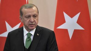 埃尔多安总统支持以色列解散中东冲突的西方指控:土耳其与黎巴嫩团结一致
