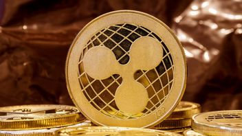 XRP Holder Increases Drastically Reaches 5 Million Accounts, XRP Price Only Increases 1.9 Percent!