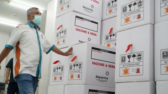 Bio Farma Sudah Distribusikan 129 Juta Dosis Vaksin sejak Januari 2021, AstraZeneca Posisi Terbanyak Kedua