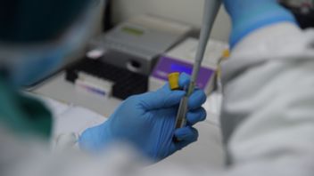 Trump Affirme Que Le Test PCR Est Loin D’être La Cible