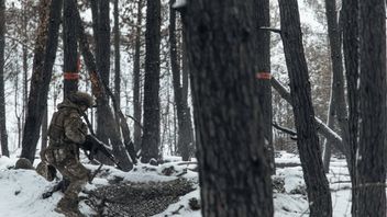 20 mercenaires canadiens tués en Ukraine depuis l'opération militaire russe