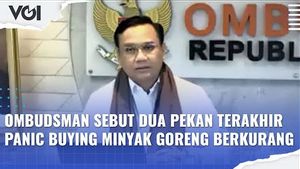 VIDEO: Minyak Goreng Masih Langka, Ini Kata Ombudsman