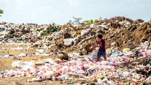 Darurat Sampah di Kota Besar