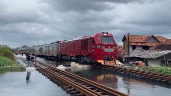 Banjir Pekalongan Meluas, Dua Pertiga Wilayah Terendam