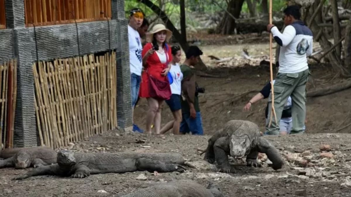 コモド国立公園の入場券の増加を拒否する抗議者の前で、西マンガライの摂政は明日の大規模な議論を招きます 